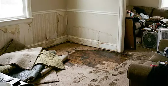 Why Choose 208 Nampa Water Restoration For Water Damage Restoration Services in Nampa, ID?