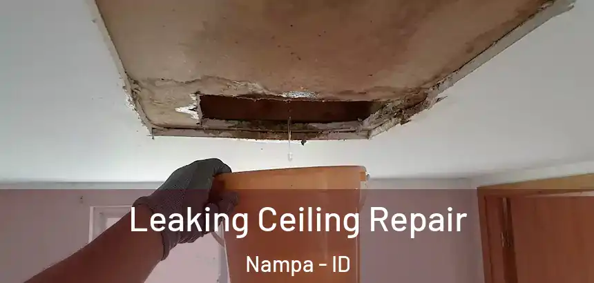  Leaking Ceiling Repair Nampa - ID